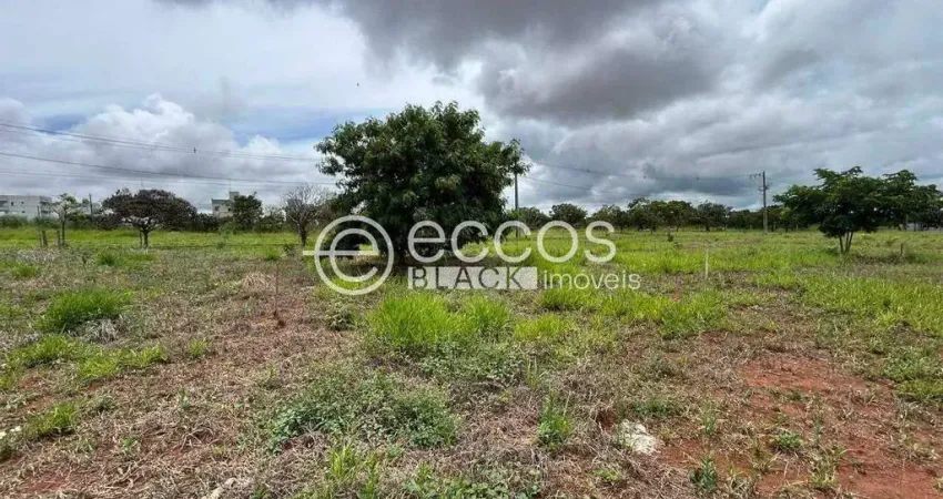 Terreno à venda na Alameda Jandira Maria Rocha, 73, Laranjeiras, Uberlândia