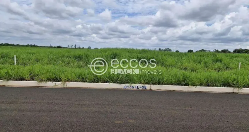 Terreno à venda, Área Rural de Uberaba - UBERABA/MG