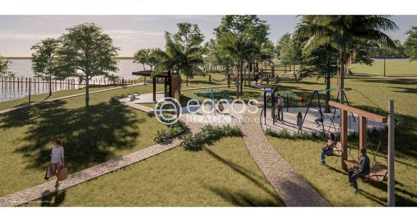 Terreno à venda na Rua Segismundo Mendes, --, Área Rural de Uberaba, Uberaba