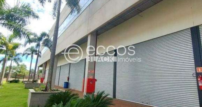 Imóvel Comercial para aluguel, Segismundo Pereira - Uberlândia/MG