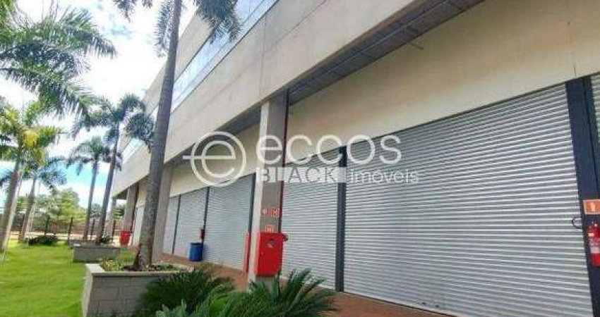 Imóvel Comercial para aluguel, Segismundo Pereira - Uberlândia/MG