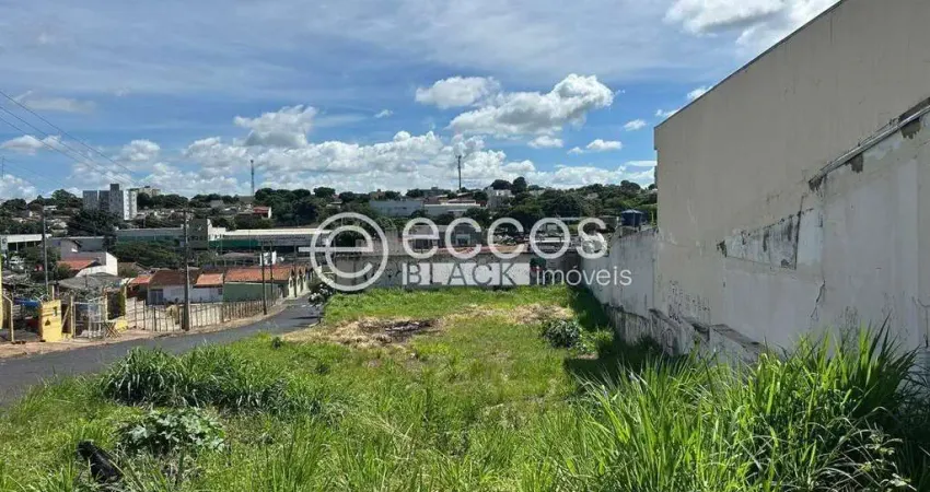 Terreno à venda na Rua Monte Carmelo, 449, Martins, Uberlândia