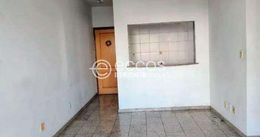Apartamento à venda, 2 quartos, 1 suíte, 2 vagas, Cidade Jardim - Belo Horizonte/MG