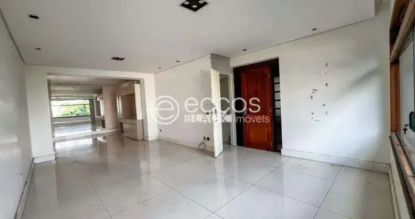 Apartamento à venda, 4 quartos, 1 suíte, 2 vagas, Santo Agostinho - Belo Horizonte/MG