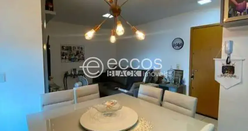 Apartamento à venda, 2 quartos, 1 suíte, 1 vaga, presidente roosevelt - uberlândia/mg