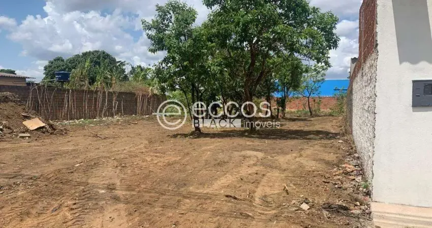 Terreno à venda na Rua Benedito Teodoro Naves, --, Vieno, Araguari