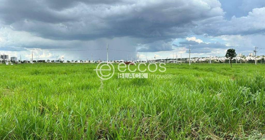 Terreno à venda, Jardim Sul - Uberlândia/MG