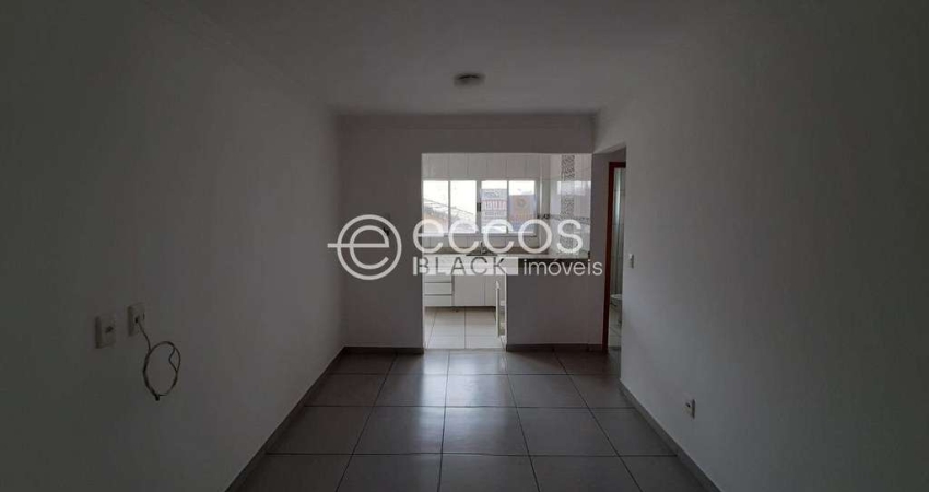 Apartamento para aluguel, 2 quartos, 1 suíte, 1 vaga, Alto Umuarama - Uberlândia/MG