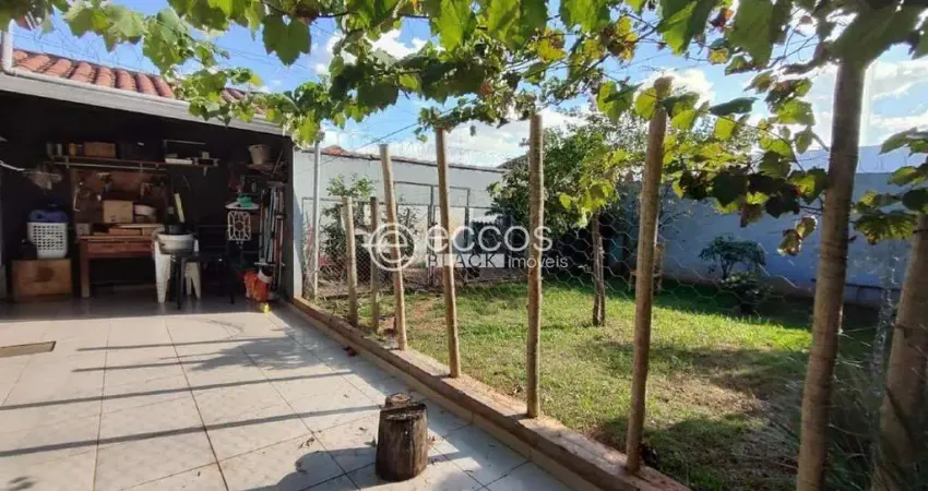 Casa para aluguel, 3 quartos, 1 suíte, 2 vagas, Segismundo Pereira - Uberlândia/MG