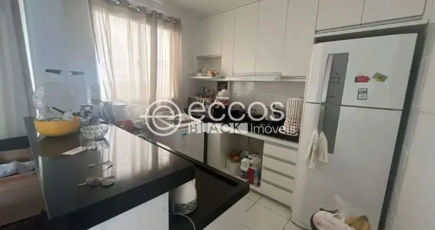 Apartamento à venda, 2 quartos, 1 vaga, shopping park - uberlândia/mg