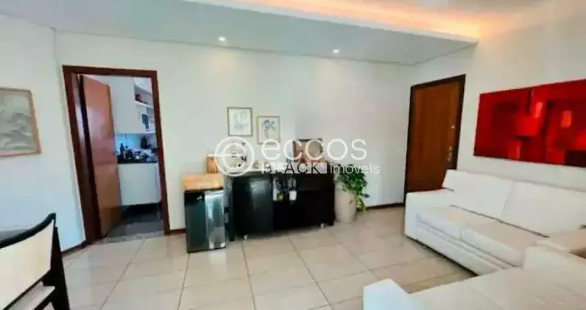 Apartamento à venda, 3 quartos, 1 suíte, 2 vagas, Serra - Belo Horizonte/MG