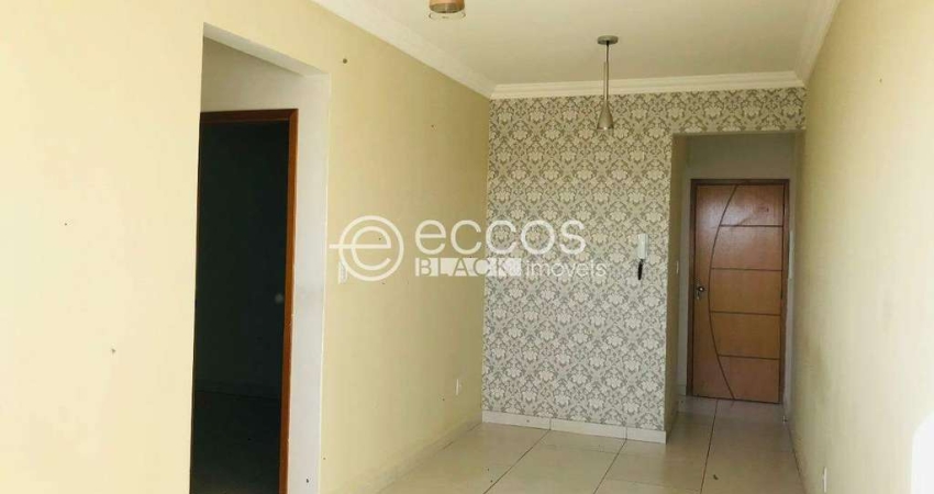 Apartamento para aluguel, 2 quartos, 2 vagas, Novo Mundo - Uberlândia/MG