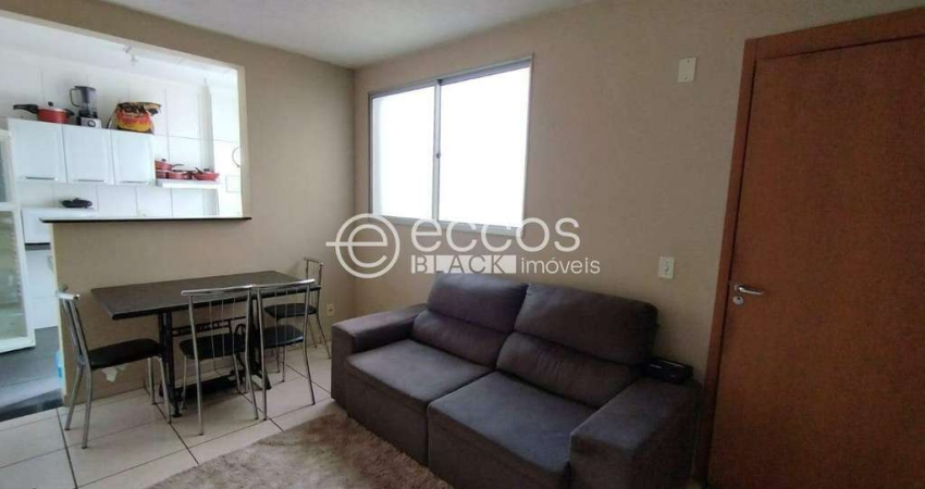 Apartamento para aluguel, 2 quartos, 1 vaga, Residencial Palmeiras - UBERABA/MG