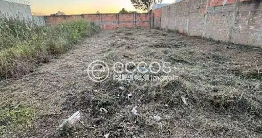 Terreno à venda na Rua Benjamin Constant, 66, Miranda, Araguari