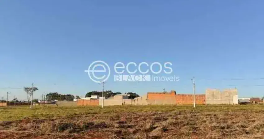 Terreno à venda na Q13 L08, 97, Sibipiruna, Araguari