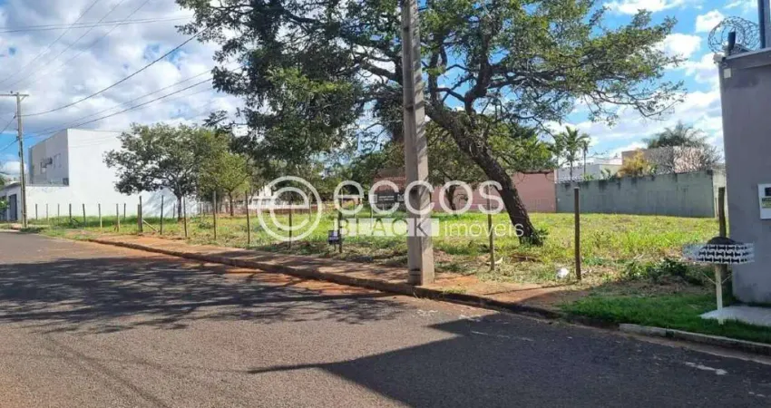 Terreno à venda na Rua Abaeté, 60, Jardim Karaíba, Uberlândia