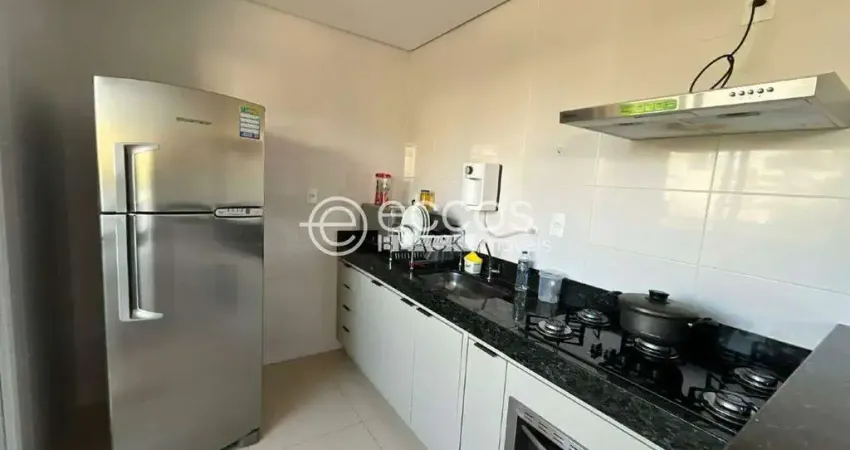 Apartamento à venda, 2 quartos, 1 suíte, 1 vaga, Santa Mônica - Uberlândia/MG