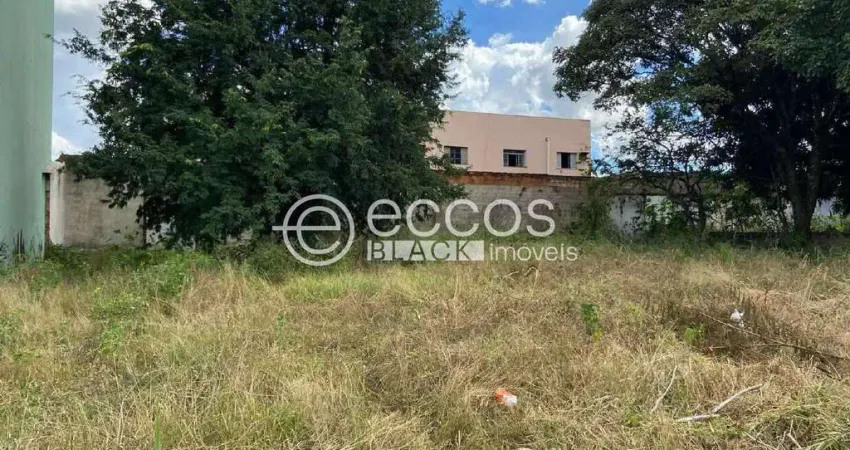 Terreno à venda na Rua Vinícius de Morais, 1328, Universitário, Uberaba