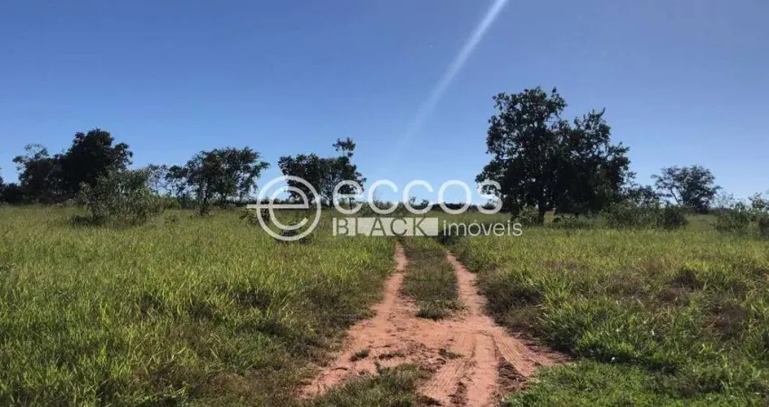 Chácara / sítio com 2 quartos à venda na Área Rural do Municipio Prata, 62, Zona Rural, Prata
