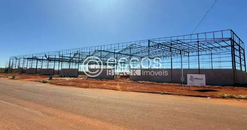 Galpão para aluguel, loteamento centro empresarial leste i - uberlândia/mg