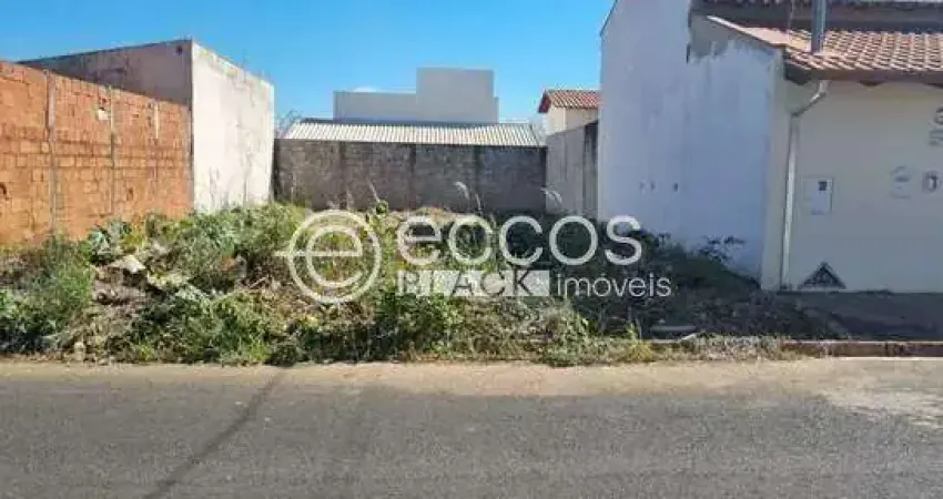 Terreno comercial à venda na Rua Sonilda Costa Ribeiro, 105, Brasília, Araguari