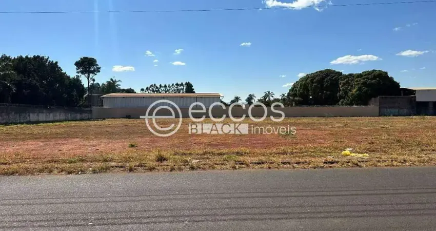 Terreno comercial à venda na Rua das Palmeiras, 60, Morada dos Pássaros, Uberlândia