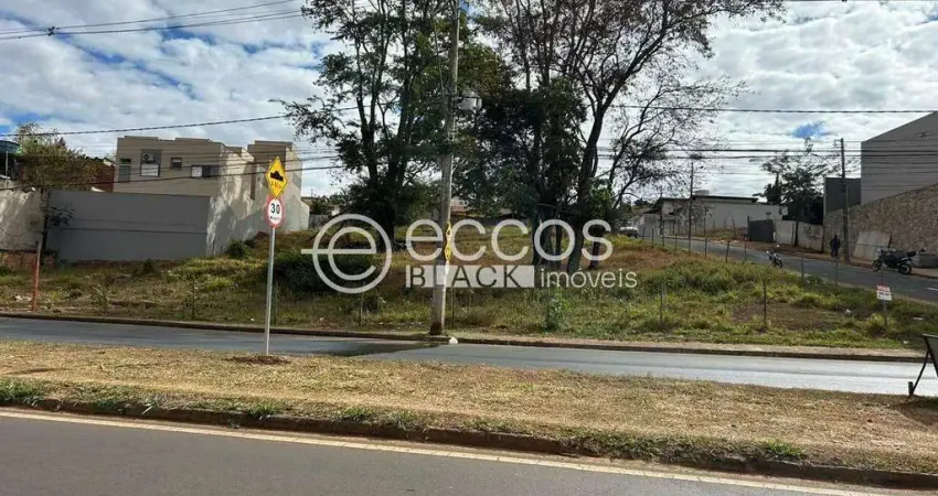 Terreno comercial à venda na Rua dos Cravos, 139, Cidade Jardim, Uberlândia