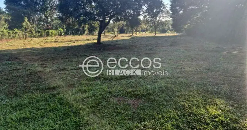 Terreno comercial à venda na Rua Bauhínia, 112, Morada do Sol, Uberlândia
