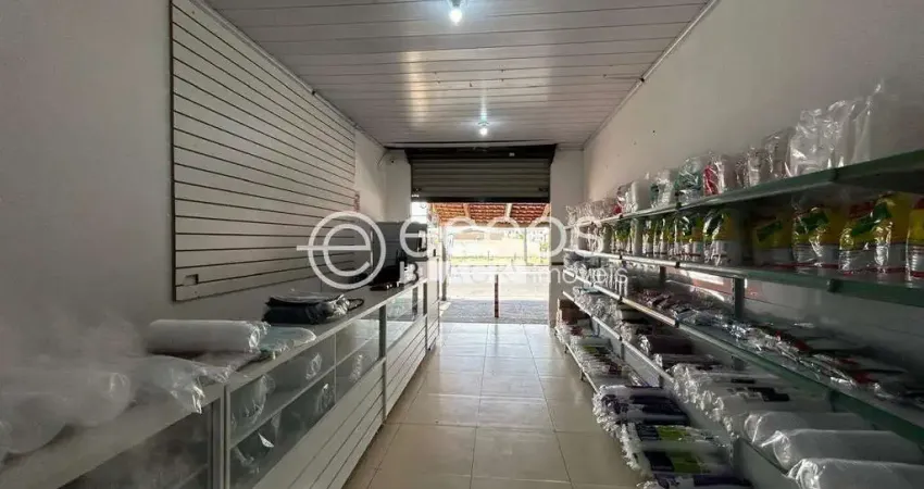 Casa comercial à venda na Avenida José Fonseca e Silva, 4180, Jardim Europa, Uberlândia