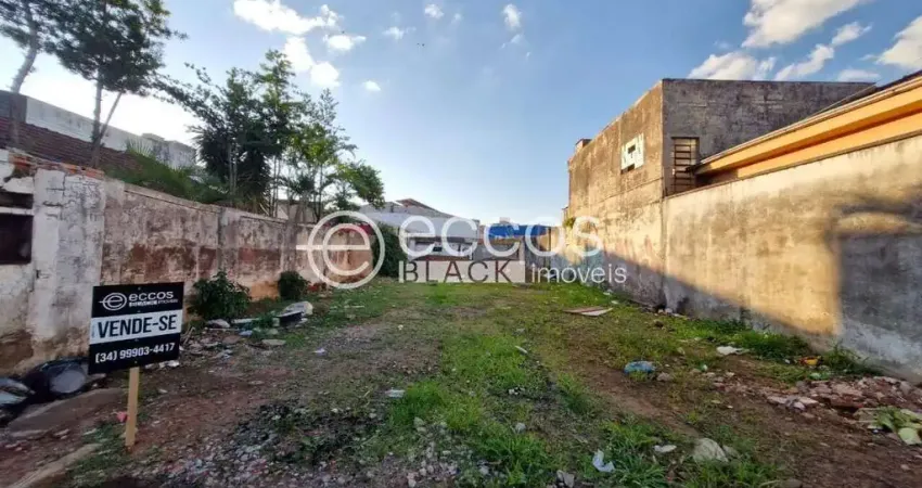 Terreno comercial à venda na Avenida Monsenhor Eduardo, 189, Bom Jesus, Uberlândia