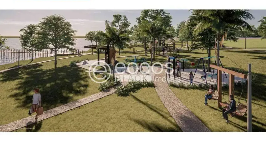 Terreno comercial à venda na Rua Segismundo Mendes, 97, Área Rural de Uberaba, Uberaba