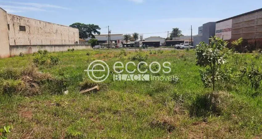 Terreno comercial à venda na Rua Irmã Margarida, 325, Bosque, Araguari