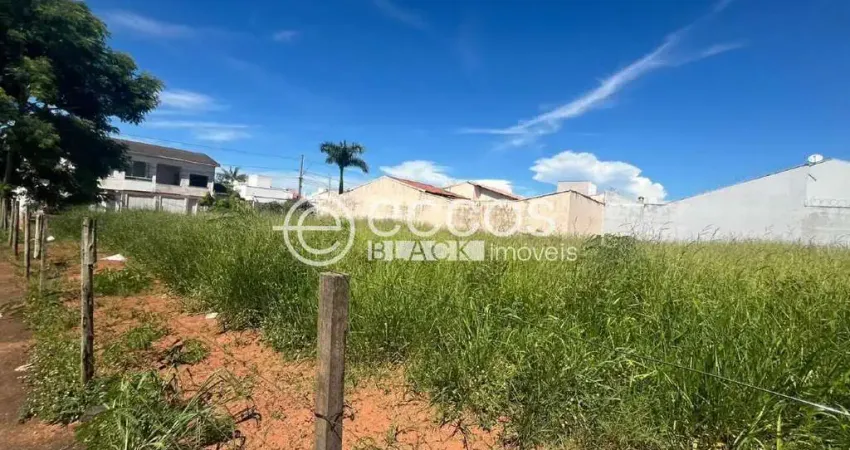Terreno comercial à venda na Rua Paulo de Frontin, 94, Alto Umuarama, Uberlândia