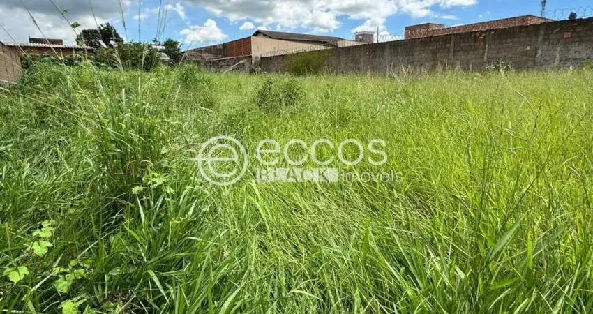 Terreno comercial à venda na Avenida Niza Marquez Guaritá, 742, Lourdes, Uberaba
