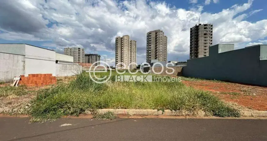 Terreno comercial à venda na Rua Basílio da Gama, 103, Novo Mundo, Uberlândia