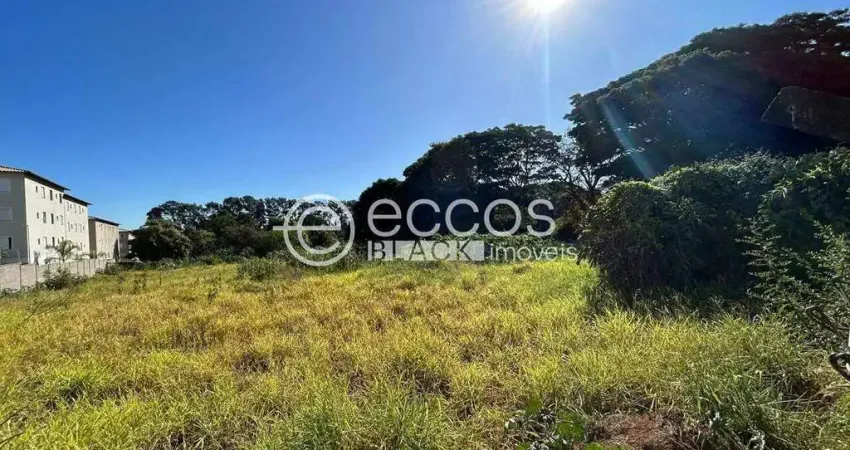 Terreno comercial à venda na Rua Antônio Domingues, 87, Chácaras Tubalina e Quartel, Uberlândia