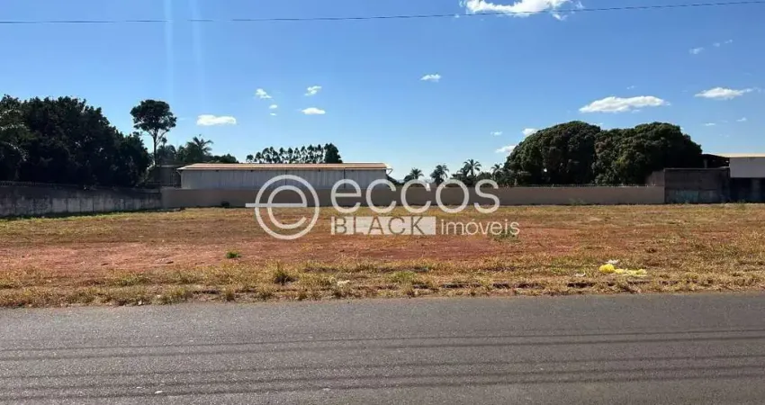 Terreno comercial à venda na Rua das Palmeiras, 64, Morada dos Pássaros, Uberlândia