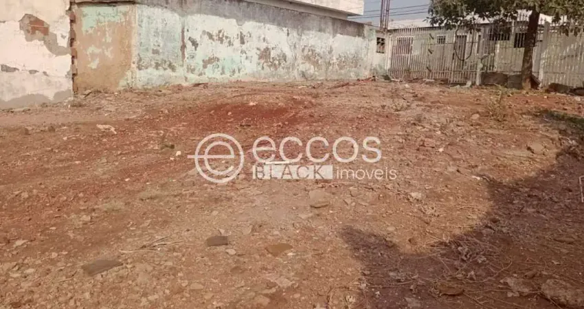 Terreno comercial à venda na Rua Ipiranga, 307, Cazeca, Uberlândia