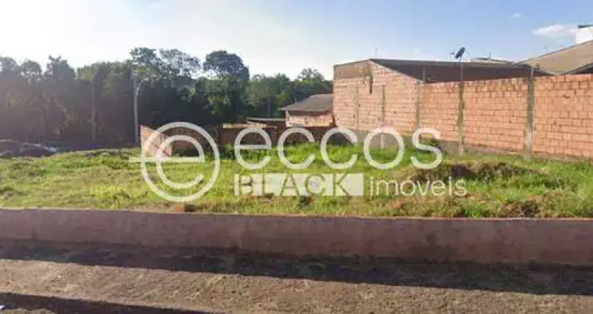 Terreno comercial à venda na Rua Augusta Modesto Cajado, 165, São José, Uberaba