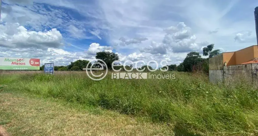 Terreno comercial à venda na Rua Cário Batista Beirigo, 339, Chácaras Vila Real, Uberaba