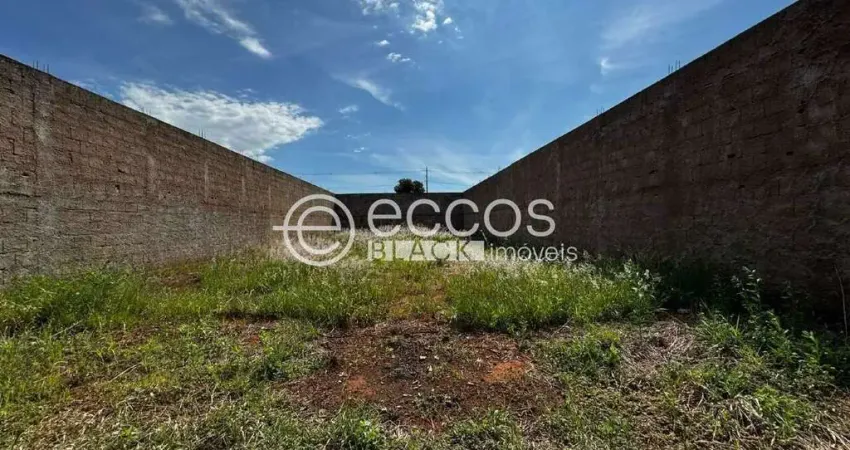 Terreno comercial à venda na Rua Luis Sergio de Sousa Oliveira, 393, Parque das Laranjeiras, Uberaba