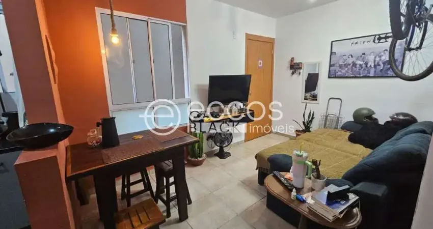 Apartamento à venda, 2 quartos, 1 vaga, jardim do lago - uberaba/mg