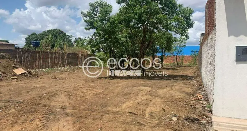 Terreno comercial à venda na Rua Benedito Teodoro Naves, 110, Vieno, Araguari