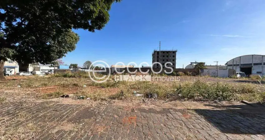 Terreno comercial à venda na Rua Paris, 109, Tibery, Uberlândia