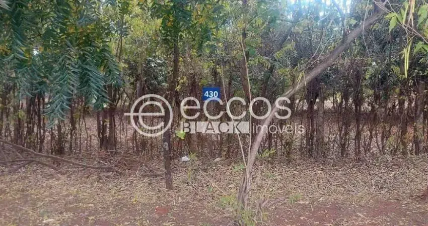 Terreno em condomínio fechado à venda na Avenida Palmira Vanucci, 387, Jockey Park, Uberaba