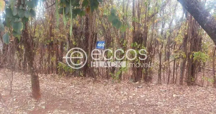 Terreno em condomínio fechado à venda na Avenida Palmira Vanucci, 414, Jockey Park, Uberaba