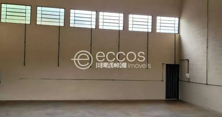 Barracão para aluguel, 1 quarto, dona zulmira - uberlândia/mg