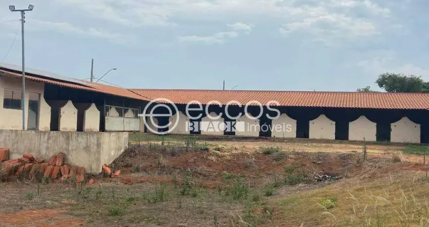 Terreno comercial à venda na Avenida Teodoreto Veloso de Carvalho, 1063, Paineiras, Araguari