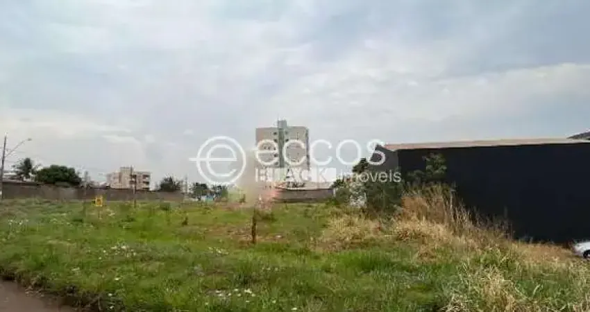 Terreno comercial à venda na Avenida Anselmo Alves dos Santos, 65, Conjunto Segismundo Pereira, Uberlândia