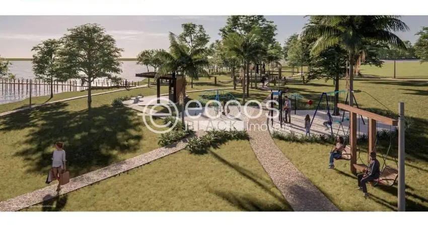 Terreno comercial à venda na Rua Segismundo Mendes, 64, Área Rural de Uberaba, Uberaba